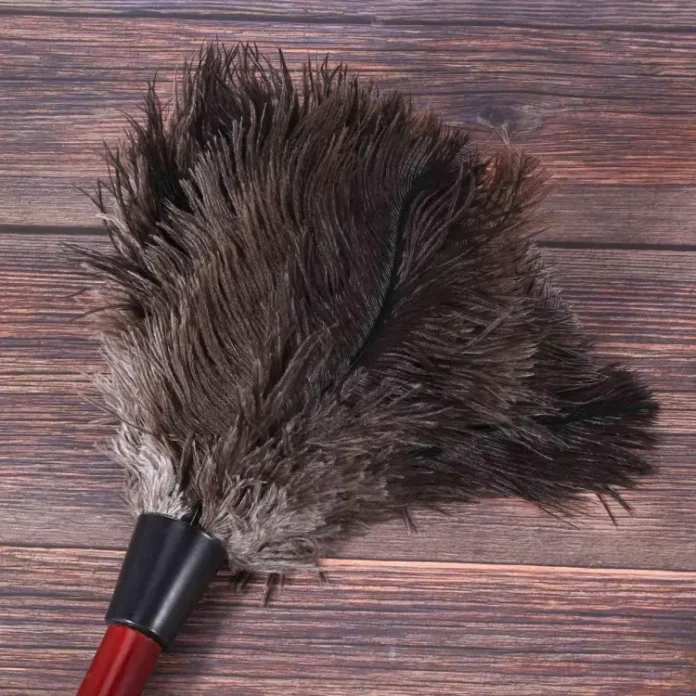 Feather Duster Feathers